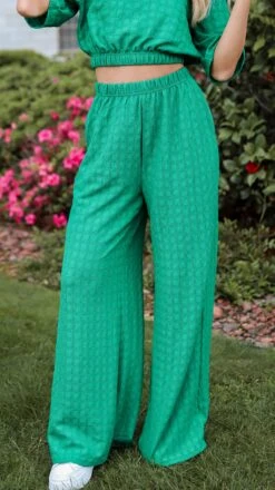 Darling Expertise Green Textured Pants - DU DEAL